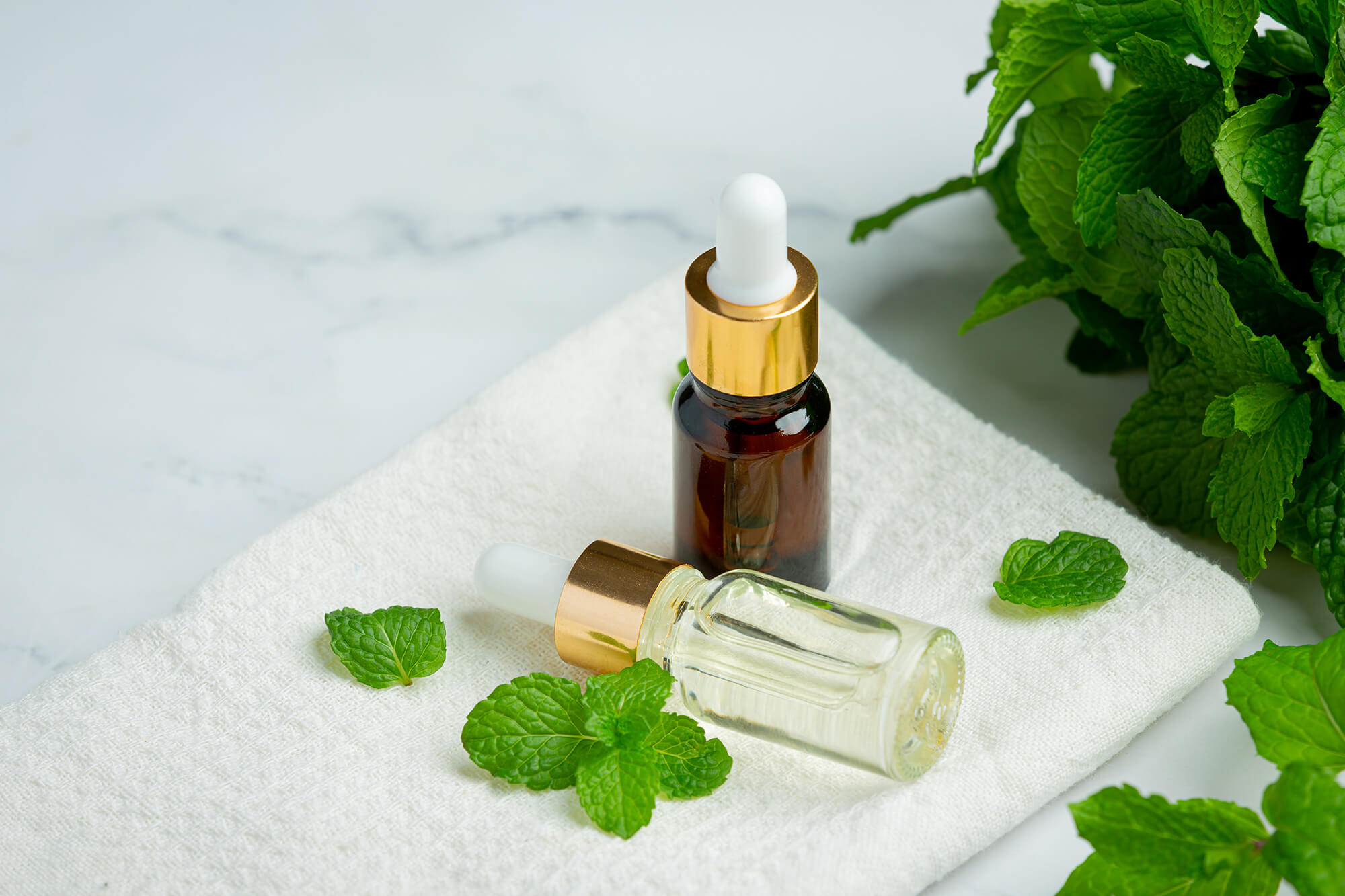 Bạc hà- Mạnh mẽ tạo nên phong thái tự tin