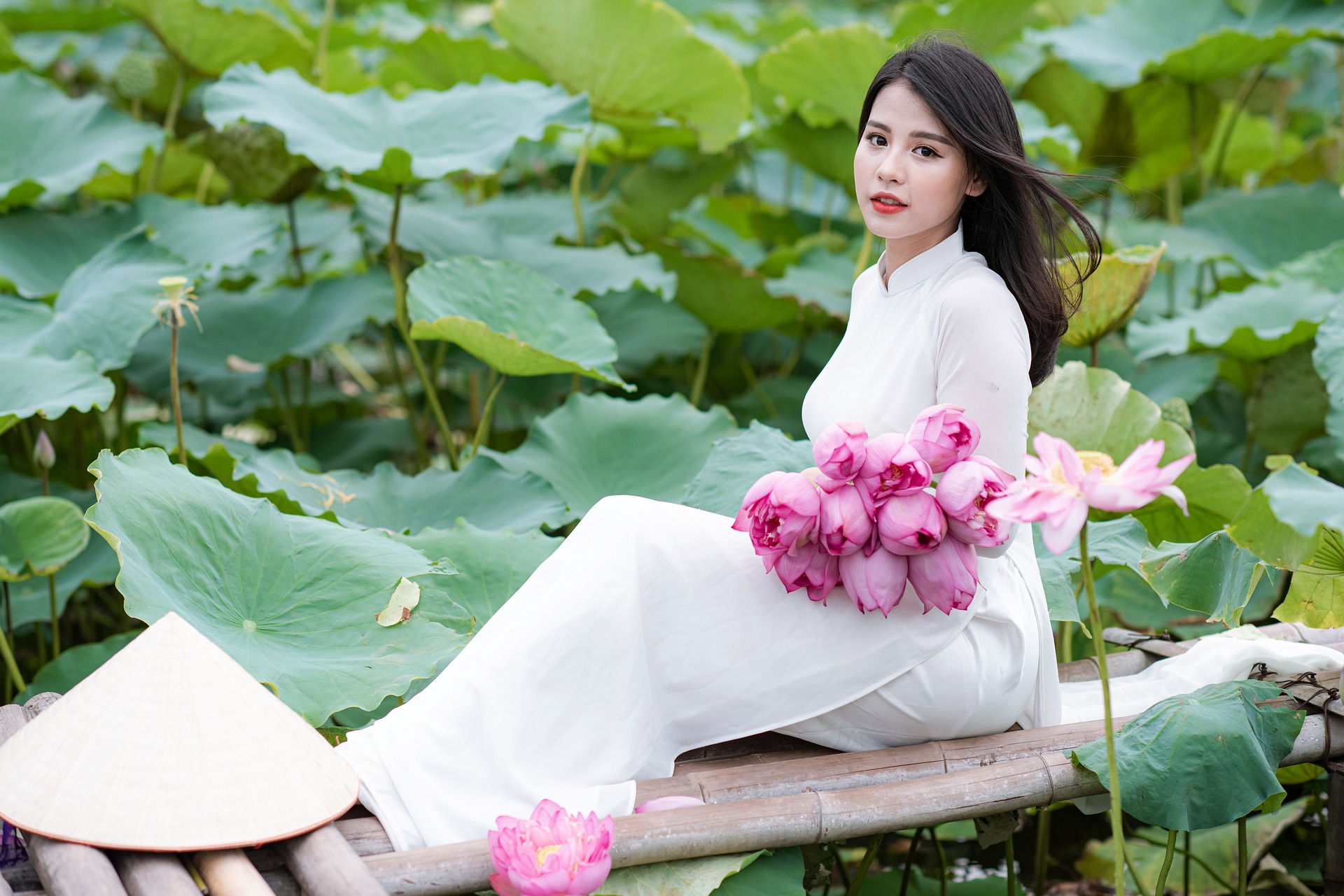 Hoa Sen – Nét đẹp thanh cao và kiều diễm